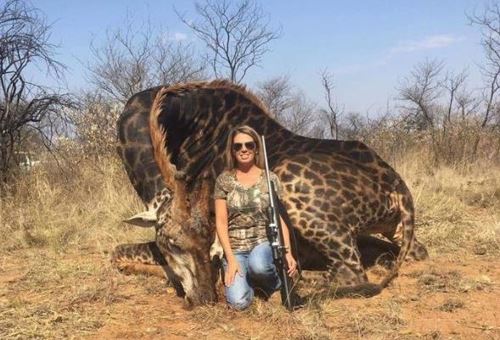 기린 트로피 사냥한 미국 여성[트위터 캡처]