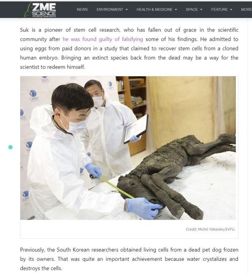 시베리아 동토서 발견된 4만년 전 망아지 신체를 측정하는 연구팀[출처:ZME사이언스 기사 화면 캡처]