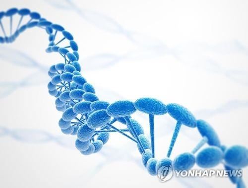 DNA [자료사진][출처: 게티이미지뱅크]
