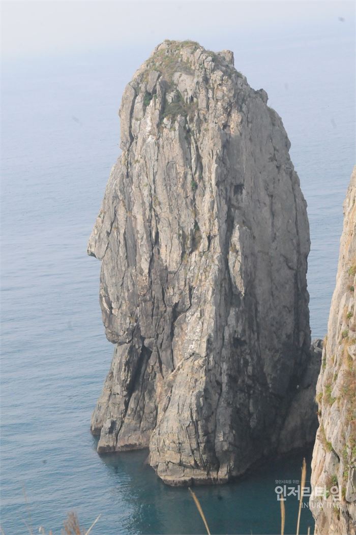 칼새5-나무섬 큰 바위 얼굴