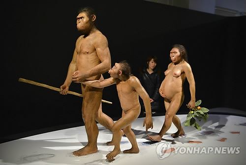 오스트랄로피테쿠스 아파렌시스 가족 모형 [자료사진]