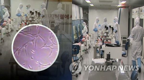줄기세포 연구(CG)[연합뉴스TV 캡처]
