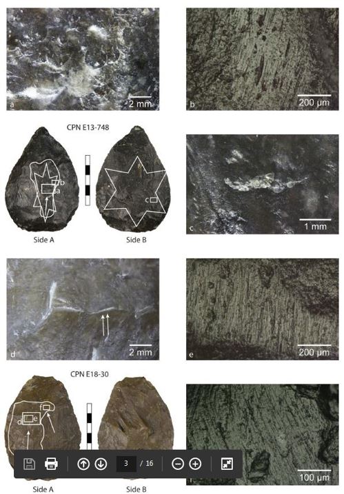 네안데르탈인들의 타제 석기[Scientific Reports 논문 캡처=연합뉴스]