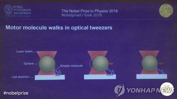 '레이저 혁명' 美佛加 연구자 3명 노벨물리학상2일(현지시간) 스웨덴 왕립과학원 노벨위원회는 레이저 물리학 분야에서 혁명적 연구성과를 낳은 미국의 아서 애슈킨, 프랑스의 제라르 무루, 캐나다의 도나 스트리클런드 등 3명의 연구자를 올해 노벨물리학상 공동 수상자로 선정했다고 밝혔다. 사진은 노벨물리학상 수상자들의 연구업적이 발표되는 모습. [노벨상 유튜브 캡처]