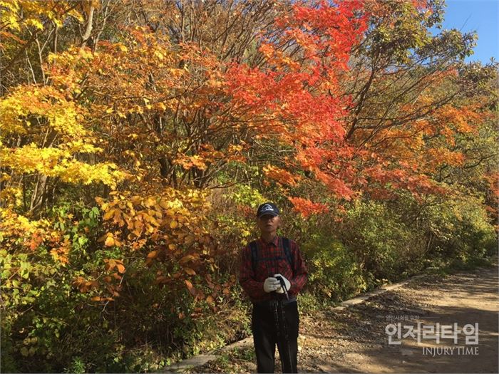 노고단으로 올라가는 길가에 단풍이 벌써 형형색색으로 물들어 있다.