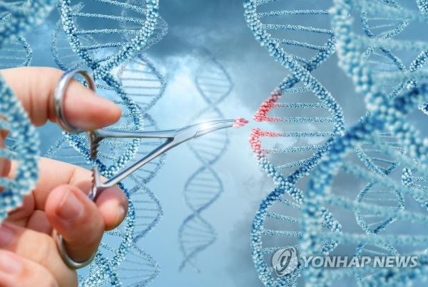 유전자 편집[게티이미지뱅크 제공]