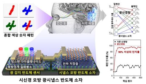 색상과 형태를 동시에 인지할 수 있는 시신경 모방 광시냅스 반도체 소자 설명도 [한국연구재단 제공=연합뉴스]