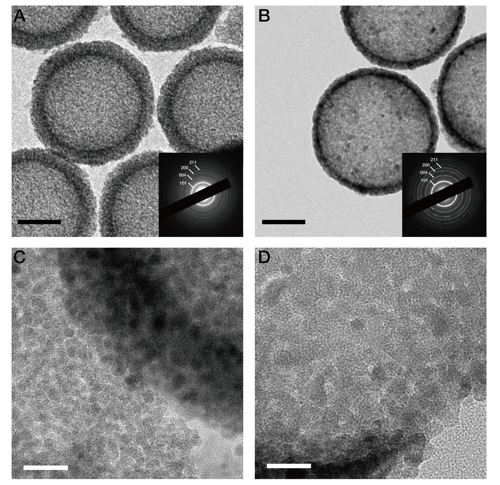 5nm 크기 이산화타이타늄 나노입자가 집합체로 모여 이룬 속이 빈 구 형태(hollow nano structure) 구조(a·c)와 12nm 크기 구조(b·d). 5nm 크기 입자 나노 구조체가 가장 안정적이면서 효율적으로 리튬을 저장하기 좋았다 [IBS 제공=연합뉴스]