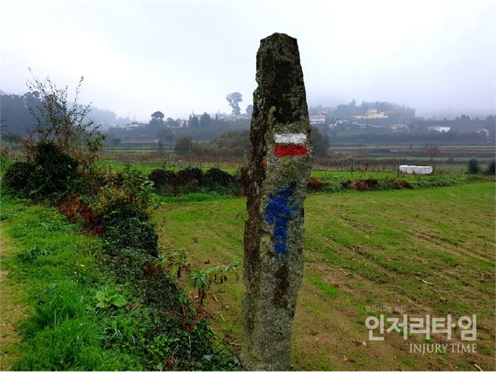 사진 13