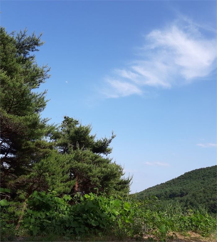 바다처럼 푸른 하늘