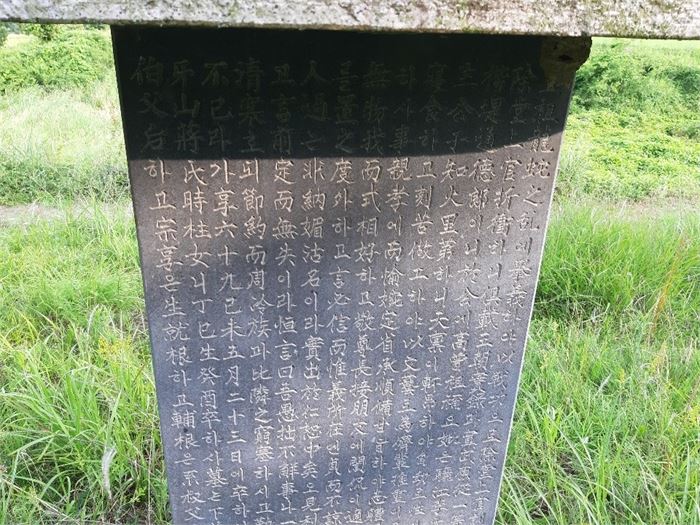 비석 뒷면-거의 모두가 무슨 벼슬을 지낸 명망 있는 집안의 자손으로 학덕과 효행이 높고 가난한 이웃을 구휼하며 명망 있는 선비와 교류했다는 기록이 적혀 있음.