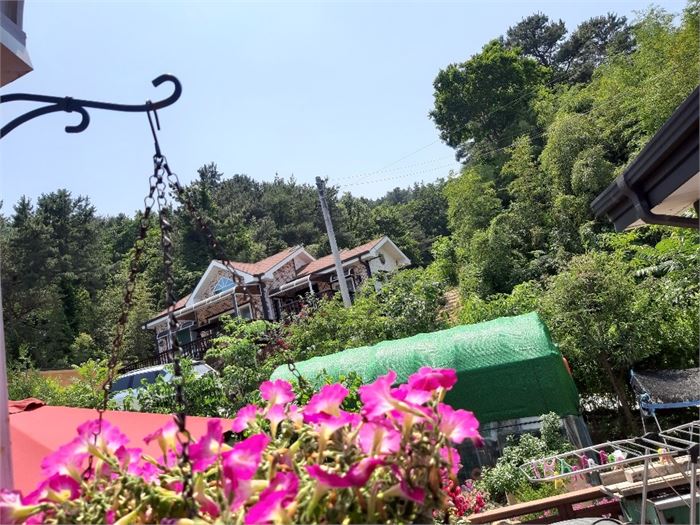 녹음이 무르녹는 앞산