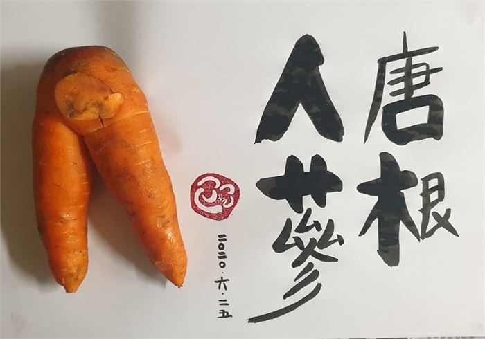 정말로 사람처럼 생긴 당근
