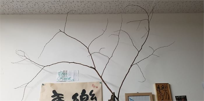 흉내내고 모방하여 건 나뭇가지
