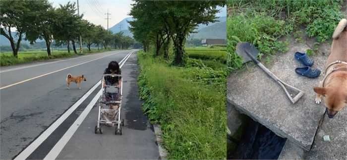 명촌리 할매어부와 어로본부