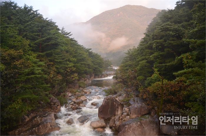마천루에서 내려다 보는 길