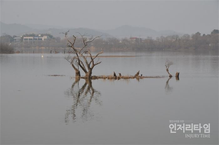 9. 동판저수지에 반영된 나뭇가지