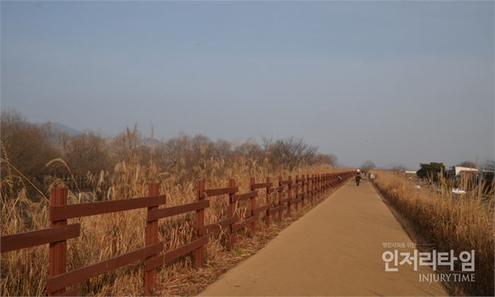 5. 주남저수지 둑길이 단장되어 있다