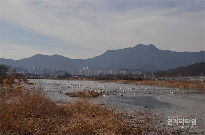 렌즈30-2. 샛강 저편에는 금오산이 늠름하다