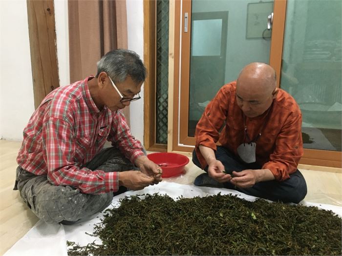 두 번째 찻잎을 비비기 전에 허섭(오른쪽) 선생과 황토방에서 한 번 더 찻잎을 고르는 모습.  [사진=목압서사 제공]