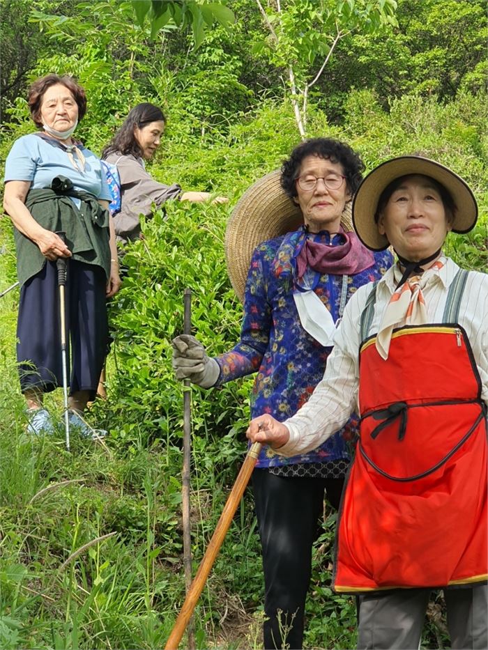 차산에서 내려오면서 찍은 사진. 앞에서부터 형수님, 순덕 고모님, 점화 고모님, 연희.