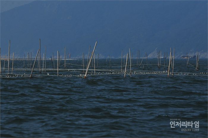새6-20130922 신자도북서쪽수면부 뒷부리도요