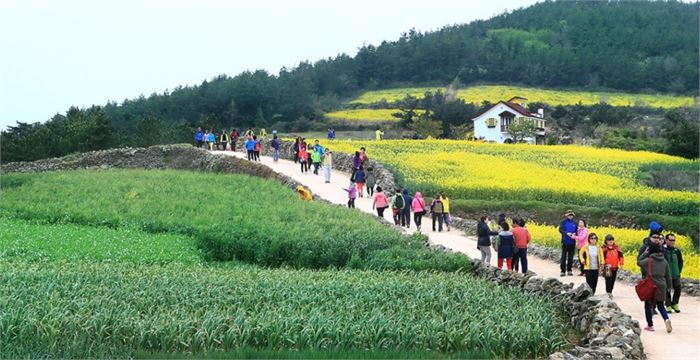 우리나라 최초의 슬로시티 가입 지자체인 전남 완도군의 청산도 [출처 = 완도군 홈페이지]