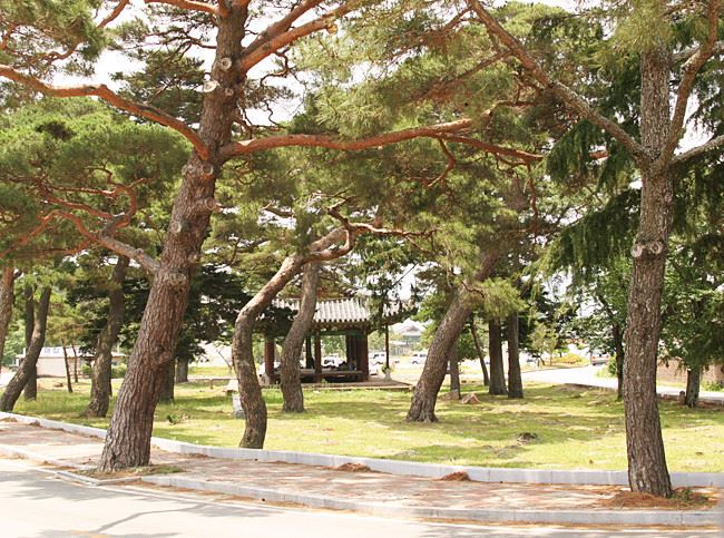 김창흡의 부친인 김수항이 갑인예송으로 유배됐던 전남 영암 구암. 사진= 조해훈